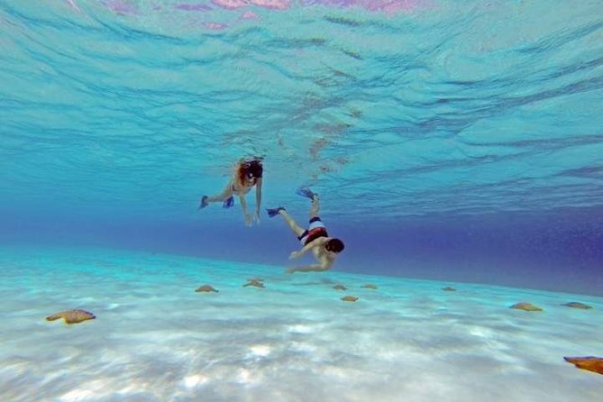 Explore El Cielo in Cozumel. Snorkel in 3 different reefs & visit Cielito Beach. - El Cielo, starfish, and why this snorkel stop is special