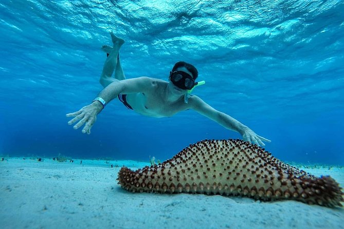 Explore El Cielo in Cozumel. Snorkel in 3 different reefs & visit Cielito Beach. - Who should book this El Cielo and Cielito day trip