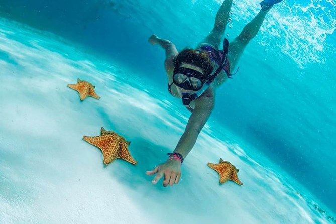 Explore El Cielo in Cozumel. Snorkel in 3 different reefs & visit Cielito Beach. - Snorkel stops at Palancar and Colombia reefs, plus the September 2023 swap