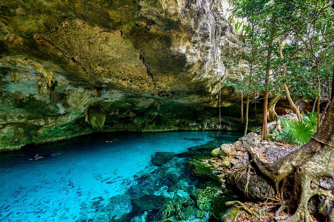 Explore Tulum and Dos Ojos Cenote with lunch and transportation - Dos Ojos Park cenotes: swimming in two stops