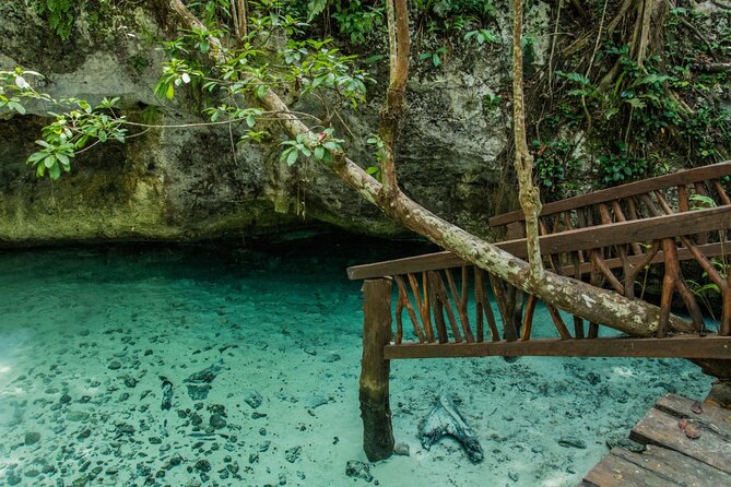 Explore Tulum and Dos Ojos Cenote with lunch and transportation - Meal breaks in Tulum: box lunch breakfast and a real Mexican plate