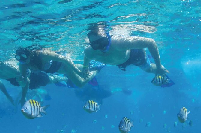 Fast & Fun: Cancun Speedboat Tour with Snorkeling - Snorkeling at Mayan Reef: what to expect under the surface