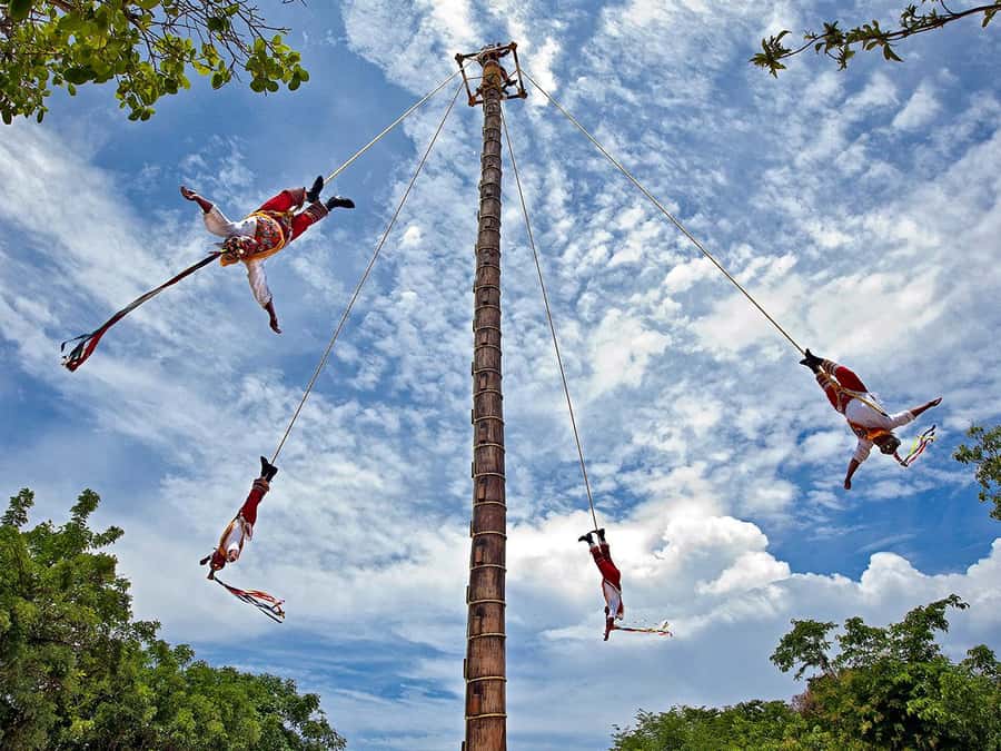 From Cancun: Complete Combo to Xcaret Park! - Kids’ World and family flow: why it matters for real family planning