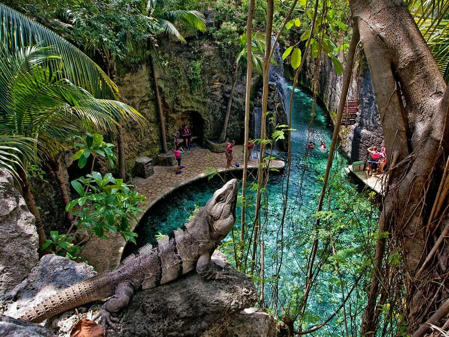 From Cancun: Complete Combo to Xcaret Park! - Getting from Cancun with an actually useful combo