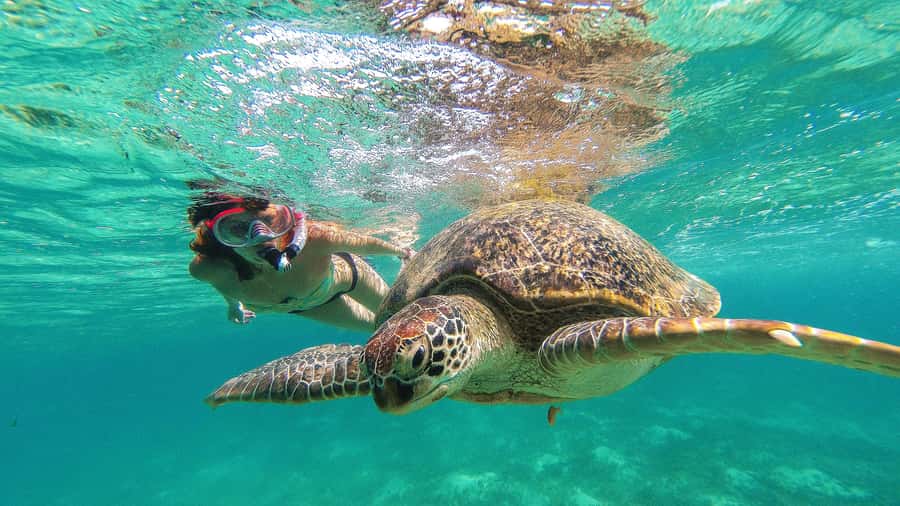 From Cancun: Day Trip to Tulum and Mariposa Cenote - From Cancun to the Ruins, the Coach Timing Feels Long