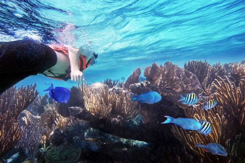 From Cancun: Garrafon Reef Park Admission with Ferry Tickets - Kayaking in a Single or 2-Person Kayak, When Conditions Allow