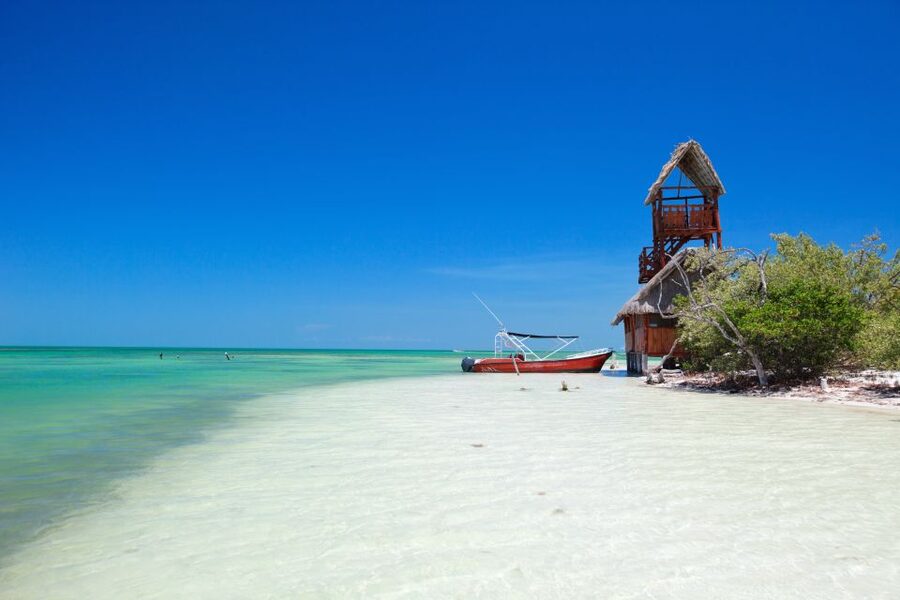From Cancun or Puerto Morelos: Holbox Boat Tour with Lunch - Who should book this Holbox boat tour, and who should skip it