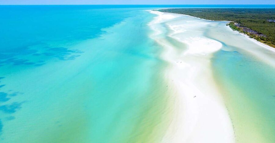 From Cancun or Puerto Morelos: Holbox Boat Tour with Lunch - Hoyo Negro Yalahau: the cenote swim surrounded by nature