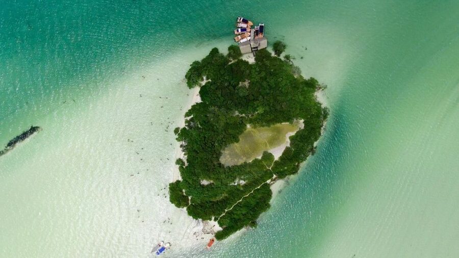 From Cancun or Puerto Morelos: Holbox Boat Tour with Lunch - Secret Beach sandbars: the kind of shoreline time you will remember
