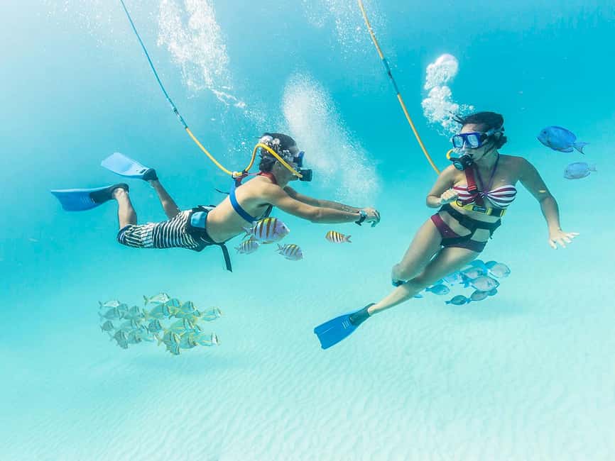 From Cancun: Xcaret Park All-Inclusive - Key things that make this Xcaret Park day trip work