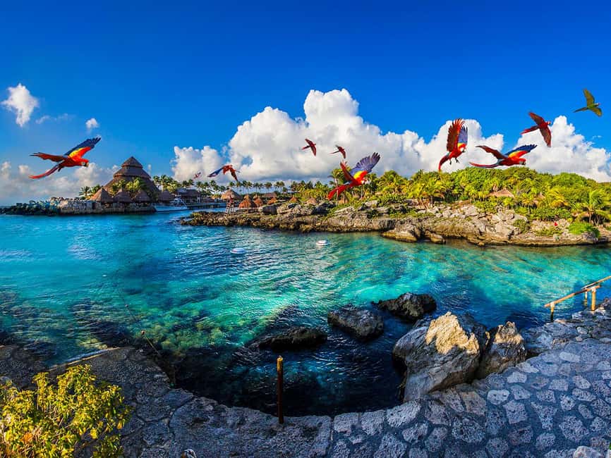 From Playa del Carmen: Xcaret Plus Park, the complete experience - Key things to know before you go