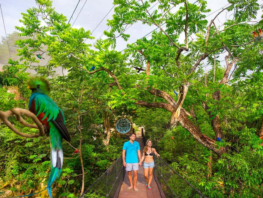From Playa del Carmen: Xcaret Plus Park, the complete experience - Getting from Playa del Carmen: optional round-trip bus, fixed route