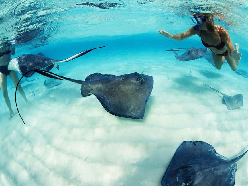 From Riviera Maya: Xcaret Park Plus, the complete experience - Xcaret Park Plus and the Real Value of the Plus Area