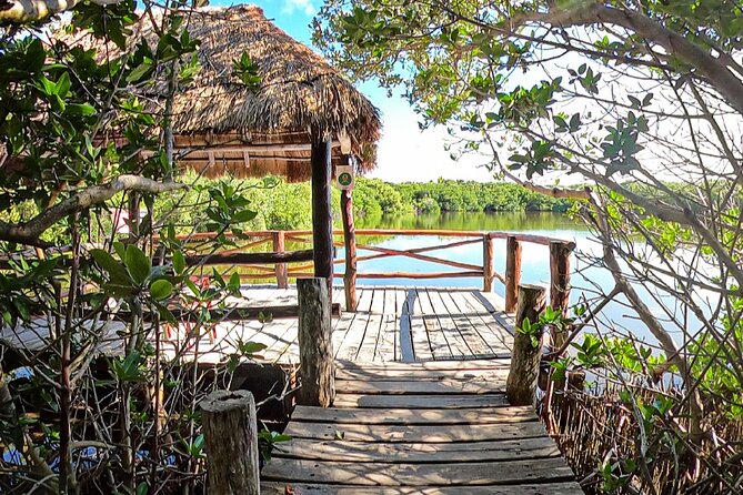 Full-Day Isla Contoy Sailing Nature Experience in Mujeres - Getting going at 10:00 from Carretera a Punta Sam