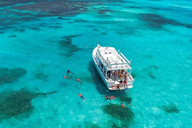 Full-Day Isla Contoy Sailing Nature Experience in Mujeres - Price and value: $125.10 plus the reef tax you must plan for
