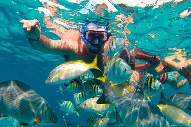 Full-Day Luxurious Catamaran Adventure - Cancún to Isla Mujeres - Unlimited Drinks: Fun When It’s Handled Well