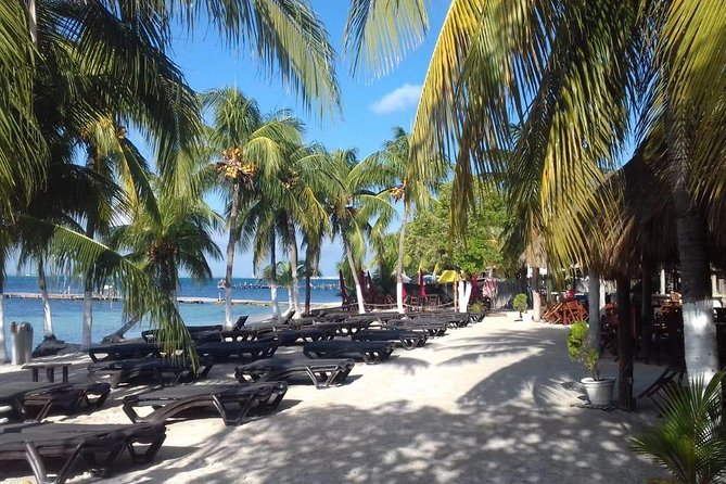 Full-Day Luxurious Catamaran Adventure - Cancún to Isla Mujeres - Crew, Hosts, and the Energy of the Day