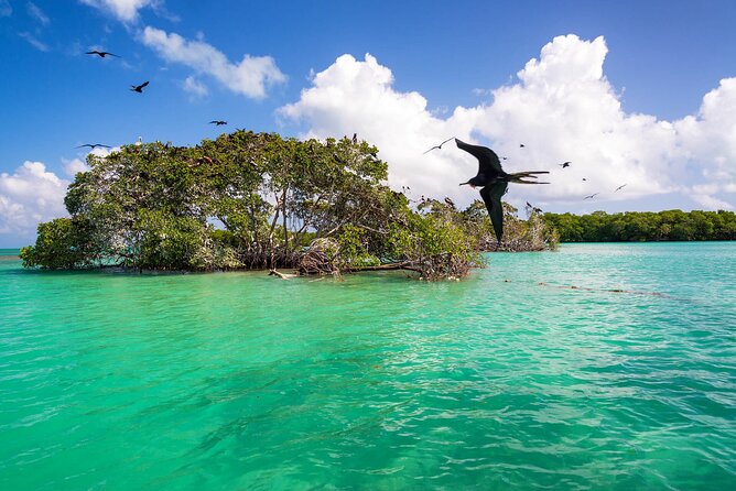 Full Day Tour of Isla Holbox and Isla Pasión with Cenote - Isla de la Pasión: panoramic island time, with round trip built in