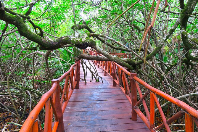 Full-Day Tour of Tulum Ruins and Cenotes with Lunch - Timing and transport: why the day feels long, and how to enjoy it anyway