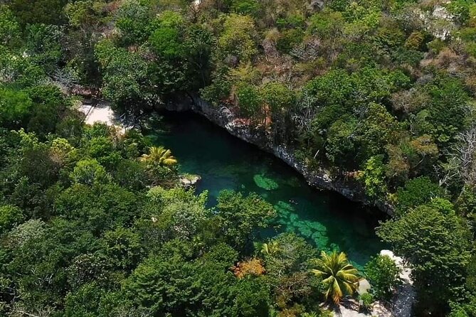 Full Day Tour to 5 Magical Cenotes in the Riviera Maya - How the Whole Day Feels (Long, Fun, and Well Routed)