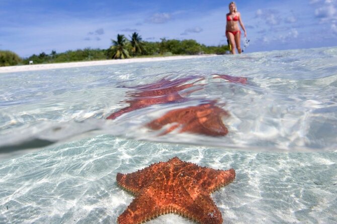 Full day tour to El Cielo in Cozumel Snorkeling and Lunch - Key highlights worth knowing