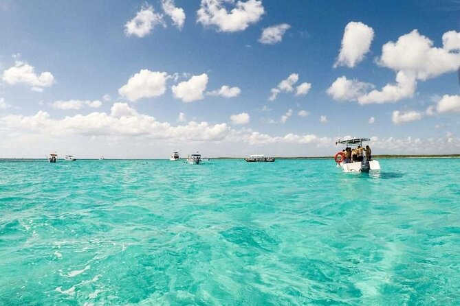Full day tour to El Cielo in Cozumel Snorkeling and Lunch - Colombia Reef and Palancar Reef: What 30 Minutes Buys You