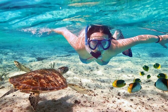 Full day tour to El Cielo in Cozumel Snorkeling and Lunch - What Can Go Wrong: Reef Fees, Transfers, and Photo Add-Ons