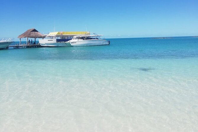 Full Day Tour to Isla Contoy and Isla Mujeres from Cancun - How the day starts: pickup, timing, and your meeting point