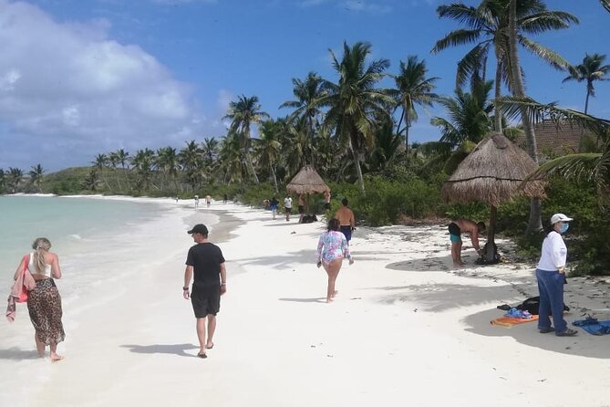 Full Day Tour to Isla Contoy and Isla Mujeres from Cancun - Lunch on Isla Contoy: buffet planning that keeps your day smooth