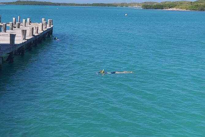 Full Day Tour to Isla Contoy and Isla Mujeres from Cancun - Stop 2 on Isla Mujeres: one hour at Playa Norte or town