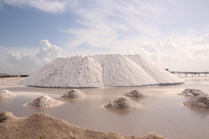 Full-Day Tour to Las Coloradas Pink Paradise in Yucatan and Rio Lagartos. - The Maya Bath mud bath: what the sulfur mud experience feels like