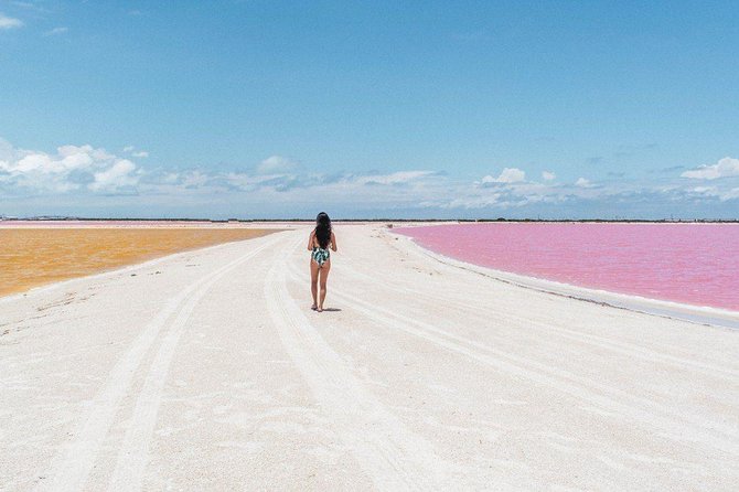 Full-Day Tour to Las Coloradas Pink Paradise in Yucatan and Rio Lagartos. - Lunch at Los Negritos plus the included lunch box: good fuel, limited flexibility