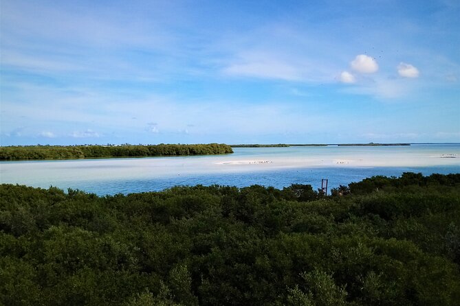 Full Day Tour to the Best of Holbox - Lunch and drinks: what is included, and why it matters for value