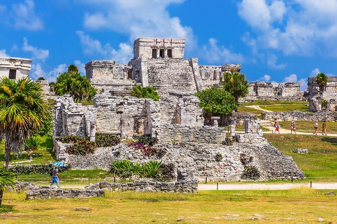 Full Day Tour to Tulum, Cenote Mariposa and Playa del Carmen Eco - Guides Make the Difference: Why Freddie, Blanca, Eduardo, Armando, Moo, and Estella Matter