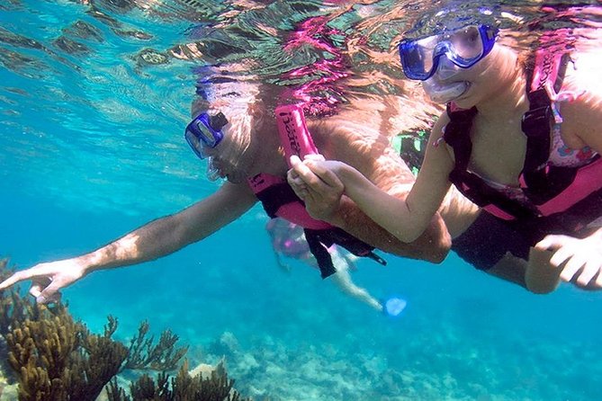Full day Xcaret Plus & Buffet & from Cancun & Playa del Carmen - Underground rivers: where the day starts to feel special