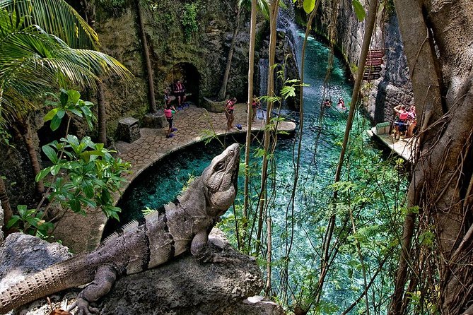 Full day Xcaret Plus & Buffet & from Cancun & Playa del Carmen - Buffet lunch and drinks: what’s included, and how to use it