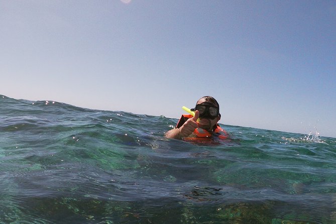 Guided Tour of Puerto Morelos Reefs with Snorkeling Experience - Check-In, Locker Time, and Your First Look at the Plan