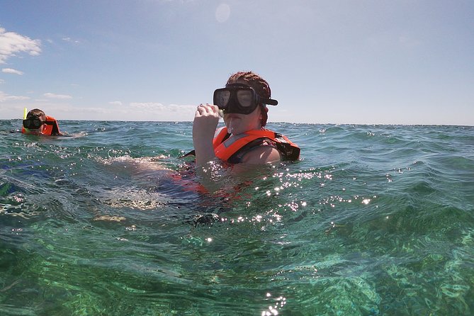 Guided Tour of Puerto Morelos Reefs with Snorkeling Experience - After the Water: Puerto Morelos for Lunch and a Quick Town Stretch