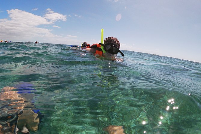 Guided Tour of Puerto Morelos Reefs with Snorkeling Experience - What’s Included, and What That Means for Your Comfort
