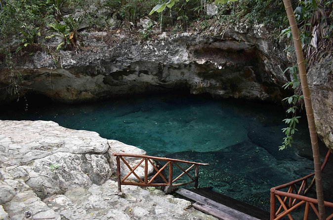 Half Day Cenotes Tour - Snorkeling gear included: what you should expect in the water