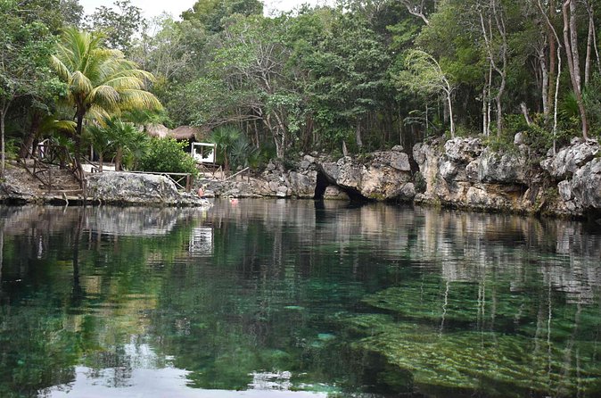 Half Day Cenotes Tour - Tulum cenotes stop: open swim plus an underground cave