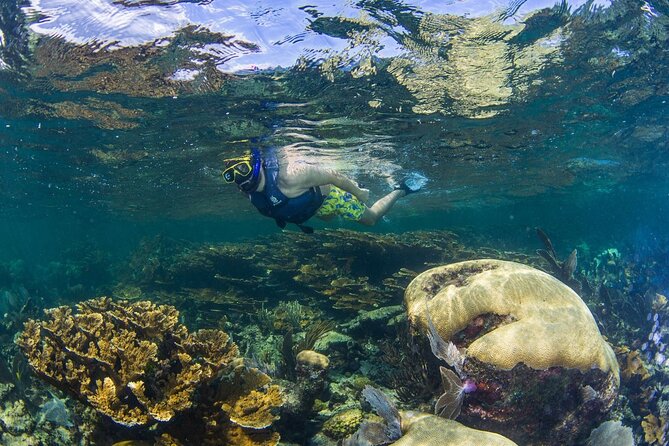 Half Day Guided Snorkeling Adventure Tour from Cancun - Beach Club Lunch: The Part That Keeps It From Feeling Like Just Another Tour