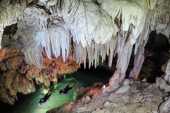 Half-Day Underwater World Tour - Should you book this Cancun cenote and reef tour?