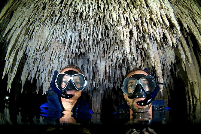 Half-Day Underwater World Tour - Snorkeling the Mesoamerican Reef for coral fish and turtles
