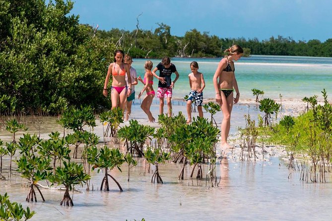 Holbox and Passion Island Full-Day Tour with Cenote, Transportation and Lunch - From Cancun to Chiquilá: The Morning Logistics That Make or Break the Day