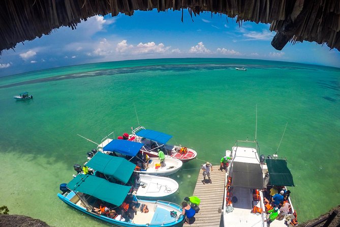 Holbox Island Tour departure from Cancun - Punta Mosquito stop: quick nature time and a ticketed viewpoint