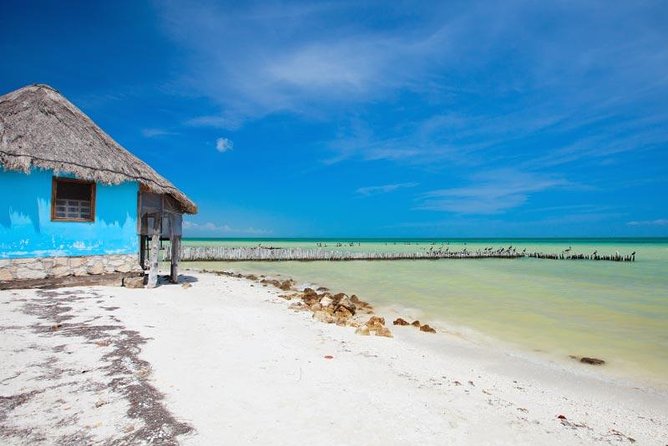 Holbox Island Tour departure from Cancun - Price, the maritime add-on, and what it buys you