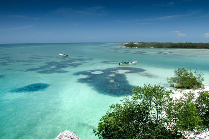 Holbox Island Tour From Cancun - Holbox Island for Hours: Golf Cart Rolling Views and Beach Breaks