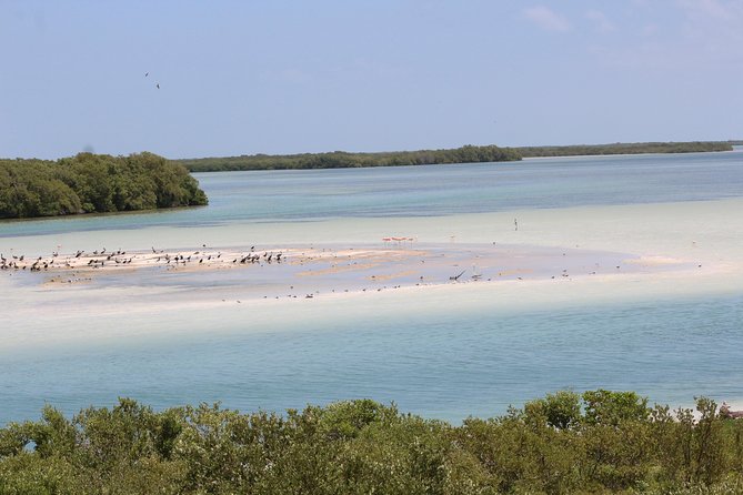 Holbox Island Tour From Cancun - Price and Value: Is $79.20 a Good Deal?