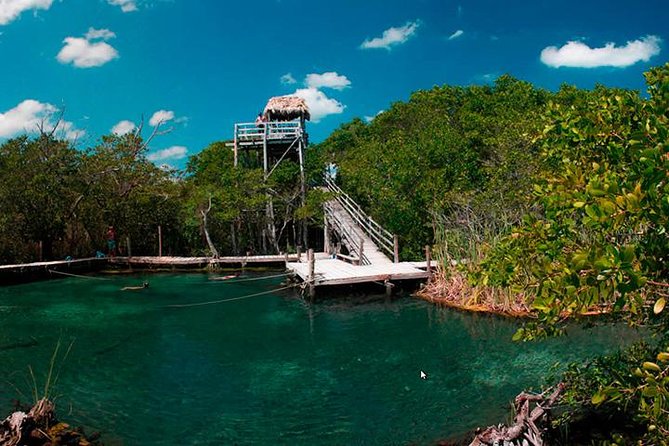 Holbox plus Island Magic by boat Tour from Cancun - Stop 1: Yalahau Lagoon cenote swim, cool water and a calm setting